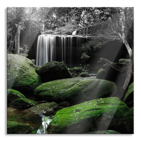 Regenwald in Thailand, Glasbild Quadratisch Mode