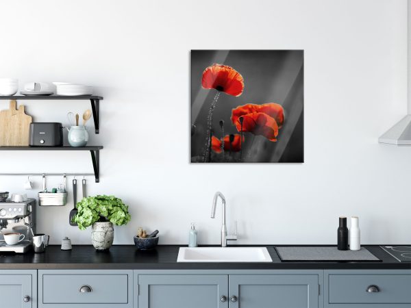 Mohnblumen auf einer Wiese in der Nacht B&W Detail, Glasbild Quadratisch Im Angebot – Bild 3