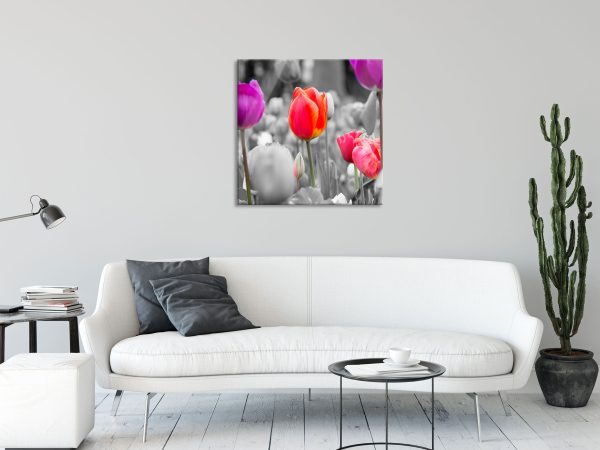 Bunte holländische Tulpen Nahaufnahme B&W Detail, Glasbild Quadratisch Schn?ppchen – Bild 2